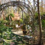 Wooded Wonderland