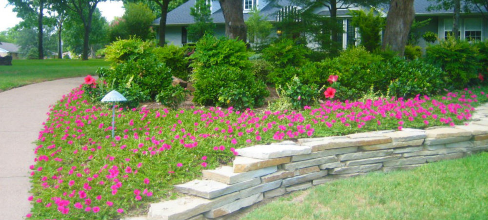 Suburban Sanctuary